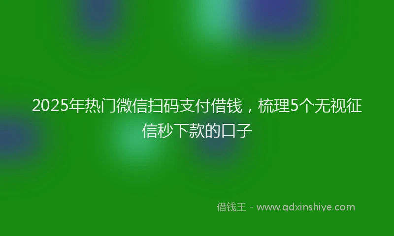 2025年热门微信扫码支付借钱，梳理5个无视征信秒下款的口子