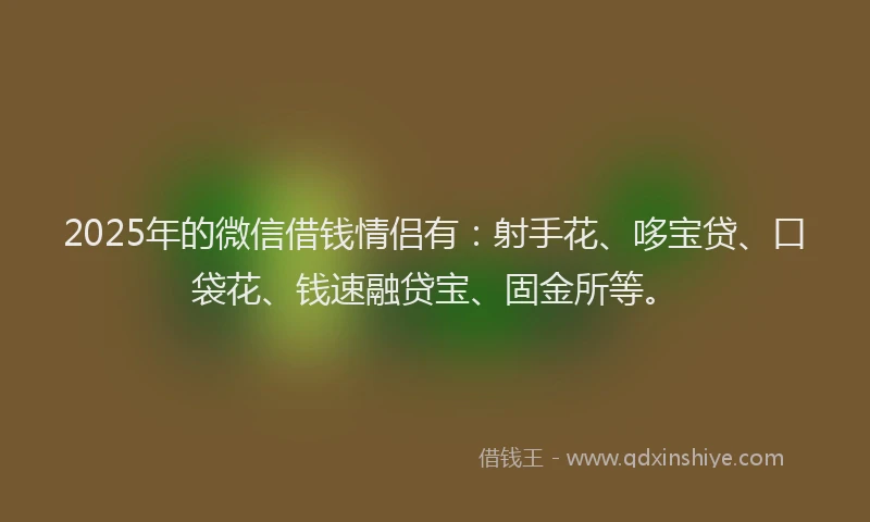 2025年的微信借钱情侣有：射手花、哆宝贷、口袋花、钱速融贷宝、固金所等。