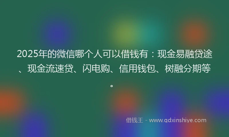 2025年的微信哪个人可以借钱有：现金易融贷途、现金流速贷、闪电购、信用钱包、树融分期等。