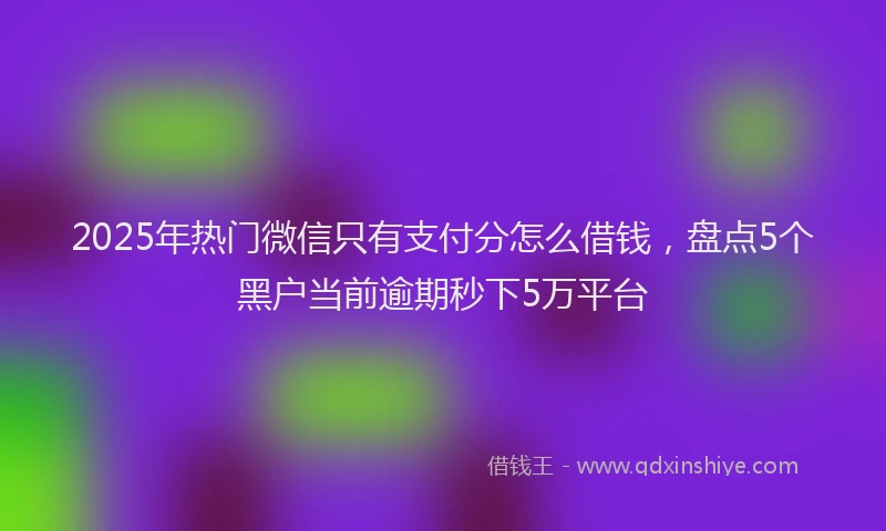 2025年热门微信只有支付分怎么借钱，盘点5个黑户当前逾期秒下5万平台
