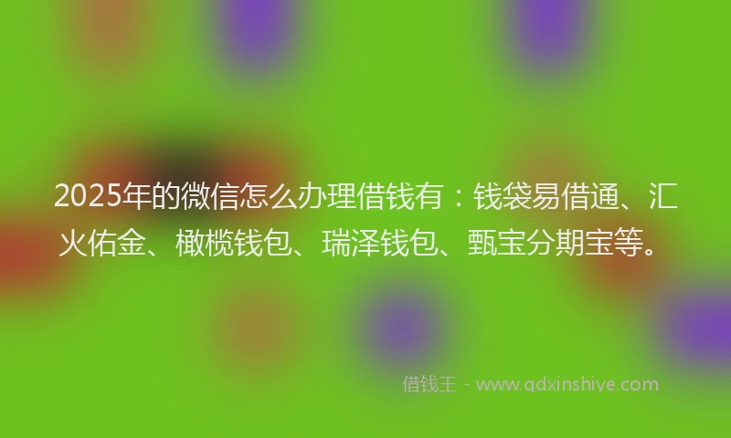 2025年的微信怎么办理借钱有：钱袋易借通、汇火佑金、橄榄钱包、瑞泽钱包、甄宝分期宝等。