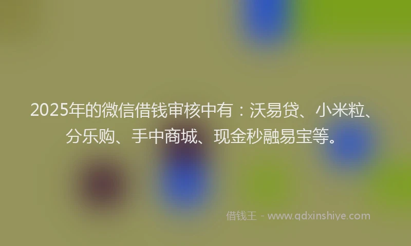 2025年的微信借钱审核中有：沃易贷、小米粒、分乐购、手中商城、现金秒融易宝等。