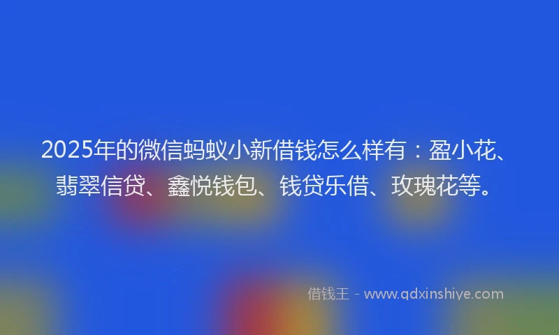 2025年的微信蚂蚁小新借钱怎么样有：盈小花、翡翠信贷、鑫悦钱包、钱贷乐借、玫瑰花等。