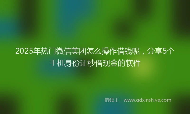 2025年热门微信美团怎么操作借钱呢，分享5个手机身份证秒借现金的软件