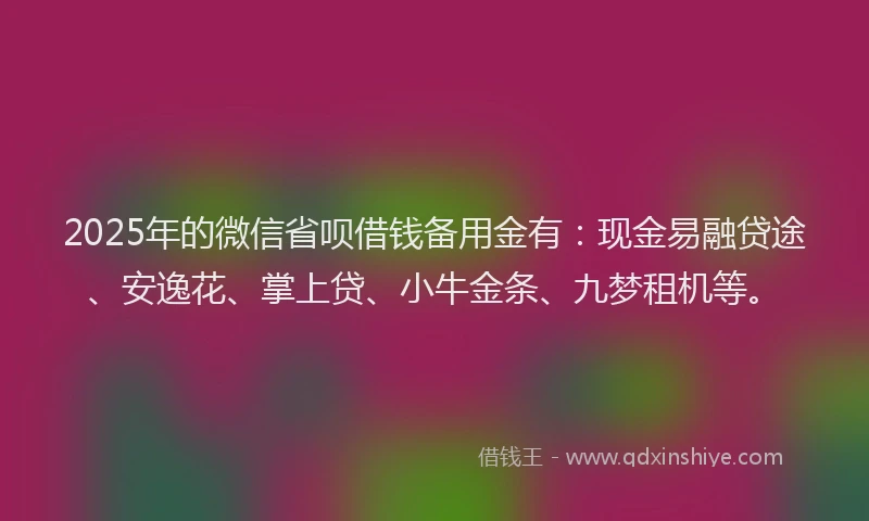 2025年的微信省呗借钱备用金有：现金易融贷途、安逸花、掌上贷、小牛金条、九梦租机等。