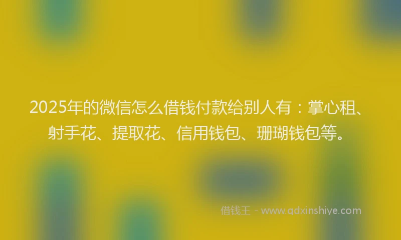2025年的微信怎么借钱付款给别人有：掌心租、射手花、提取花、信用钱包、珊瑚钱包等。