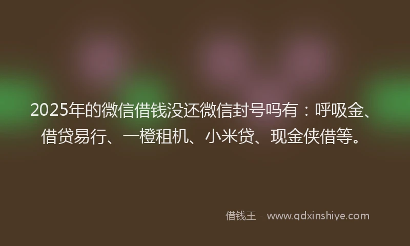 2025年的微信借钱没还微信封号吗有：呼吸金、借贷易行、一橙租机、小米贷、现金侠借等。