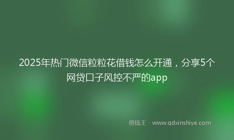2025年热门微信粒粒花借钱怎么开通，分享5个网贷口子风控不严的app