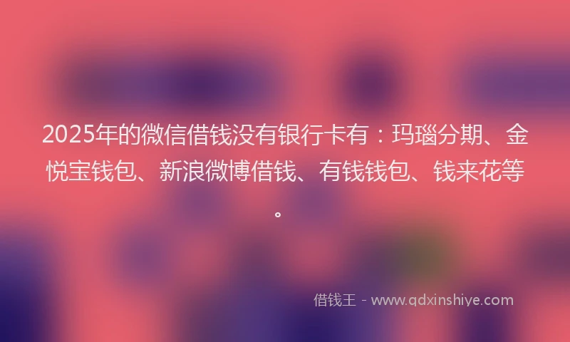 2025年的微信借钱没有银行卡有：玛瑙分期、金悦宝钱包、新浪微博借钱、有钱钱包、钱来花等。