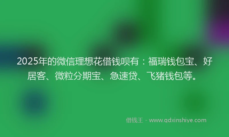 2025年的微信理想花借钱呗有：福瑞钱包宝、好居客、微粒分期宝、急速贷、飞猪钱包等。