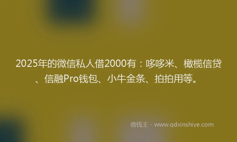 2025年的微信私人借2000有：哆哆米、橄榄信贷、信融Pro钱包、小牛金条、拍拍用等。