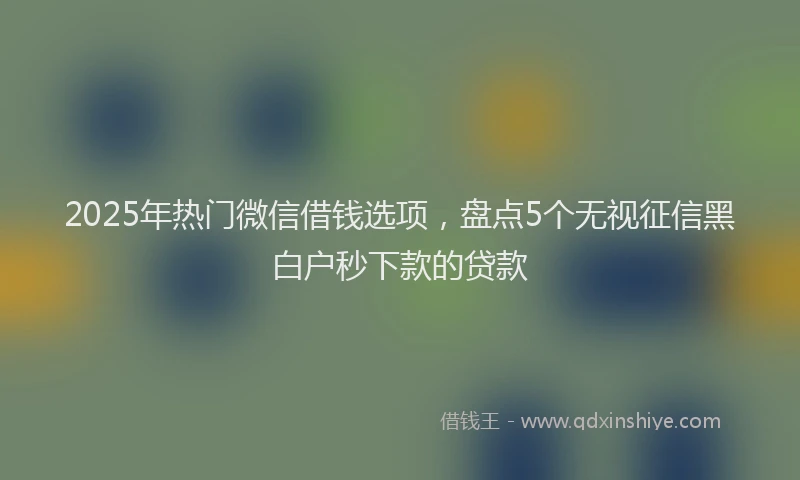 2025年热门微信借钱选项，盘点5个无视征信黑白户秒下款的贷款