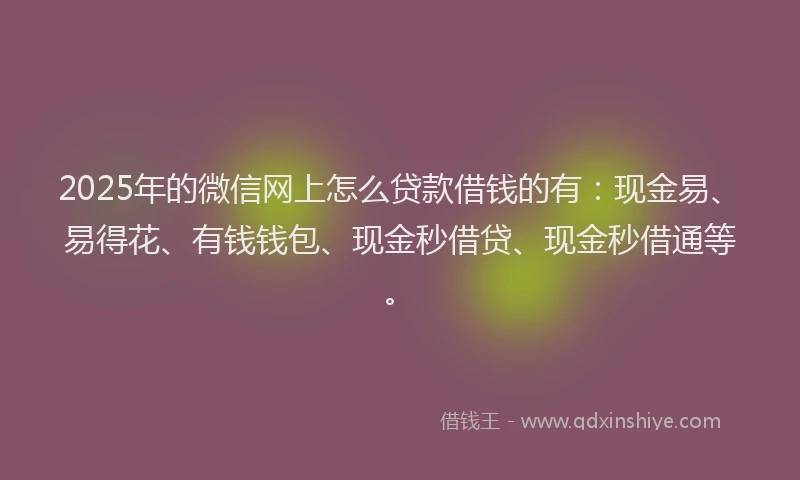 2025年的微信网上怎么贷款借钱的有：现金易、易得花、有钱钱包、现金秒借贷、现金秒借通等。