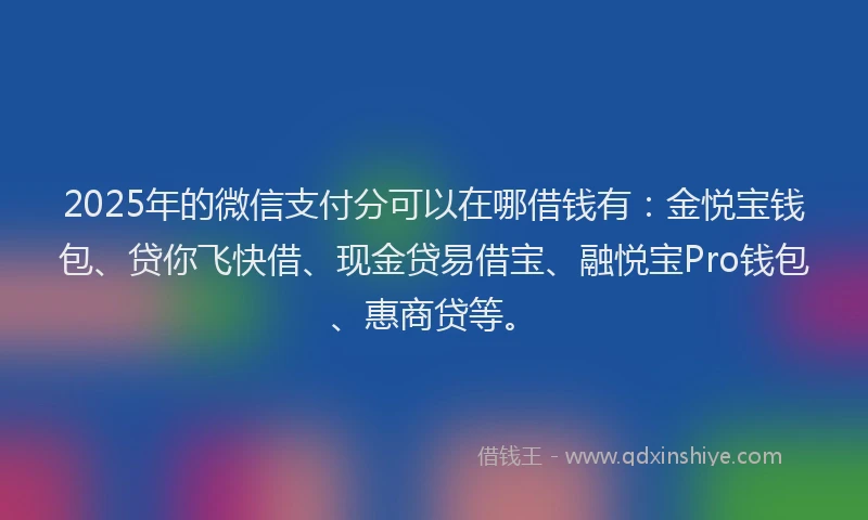 2025年的微信支付分可以在哪借钱有：金悦宝钱包、贷你飞快借、现金贷易借宝、融悦宝Pro钱包、惠商贷等。
