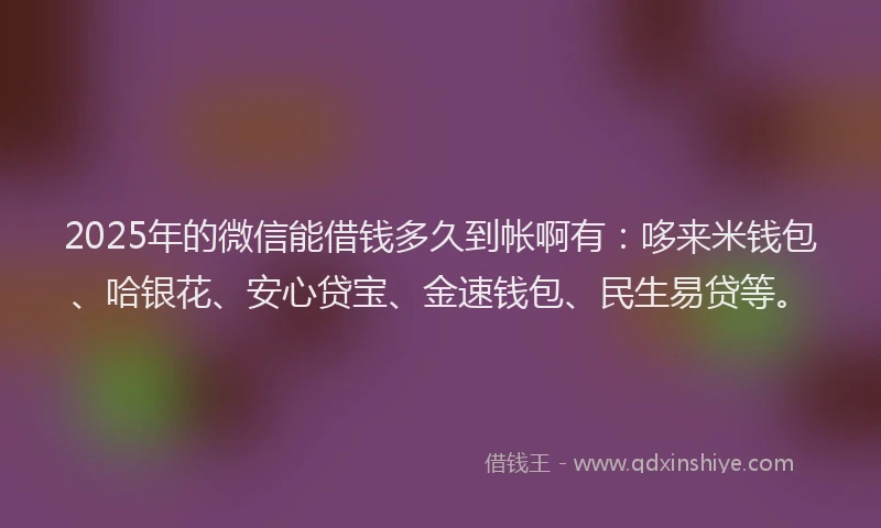 2025年的微信能借钱多久到帐啊有：哆来米钱包、哈银花、安心贷宝、金速钱包、民生易贷等。