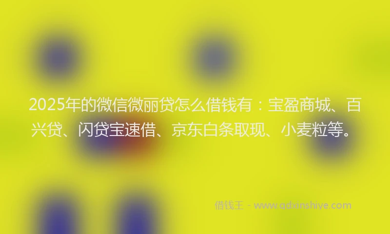 2025年的微信微丽贷怎么借钱有：宝盈商城、百兴贷、闪贷宝速借、京东白条取现、小麦粒等。
