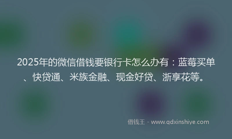 2025年的微信借钱要银行卡怎么办有：蓝莓买单、快贷通、米族金融、现金好贷、浙享花等。