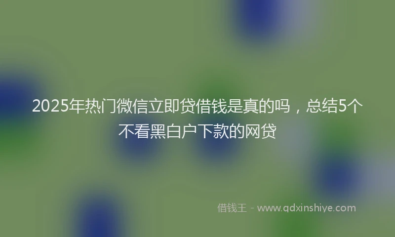 2025年热门微信立即贷借钱是真的吗，总结5个不看黑白户下款的网贷