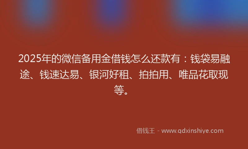 2025年的微信备用金借钱怎么还款有：钱袋易融途、钱速达易、银河好租、拍拍用、唯品花取现等。