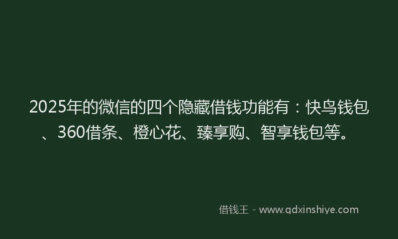 2025年的微信的四个隐藏借钱功能有：快鸟钱包、360借条、橙心花、臻享购、智享钱包等。