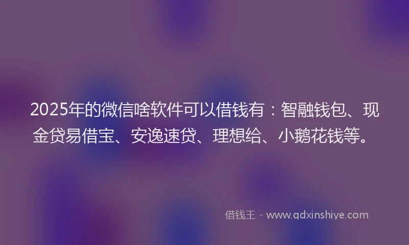 2025年的微信啥软件可以借钱有：智融钱包、现金贷易借宝、安逸速贷、理想给、小鹅花钱等。