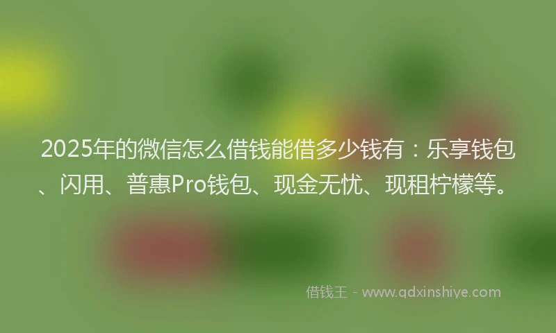 2025年的微信怎么借钱能借多少钱有：乐享钱包、闪用、普惠Pro钱包、现金无忧、现租柠檬等。