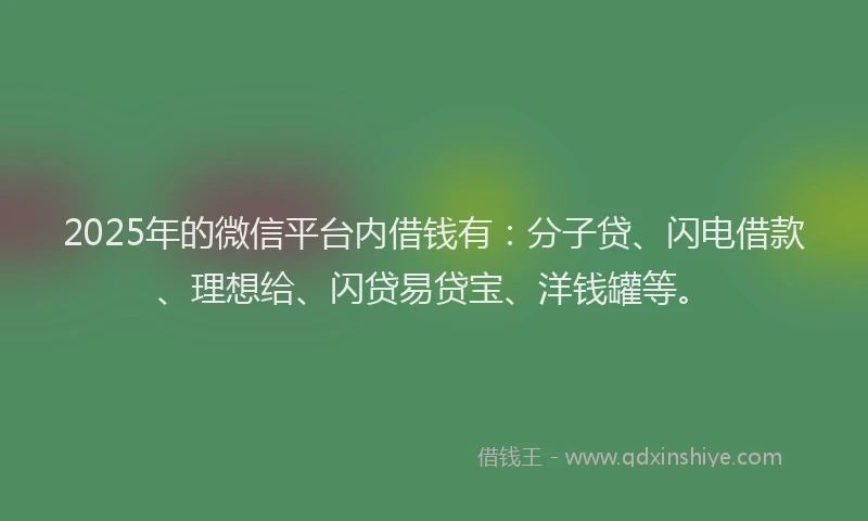 2025年的微信平台内借钱有：分子贷、闪电借款、理想给、闪贷易贷宝、洋钱罐等。