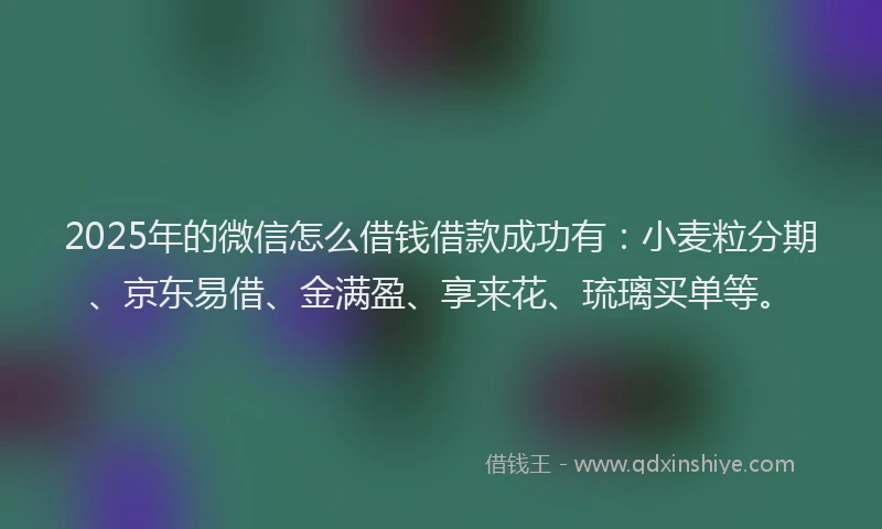 2025年的微信怎么借钱借款成功有：小麦粒分期、京东易借、金满盈、享来花、琉璃买单等。