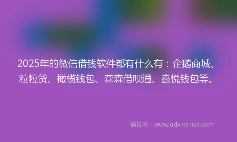 2025年的微信借钱软件都有什么有：企鹅商城、粒粒贷、橄榄钱包、森森借呗通、鑫悦钱包等。