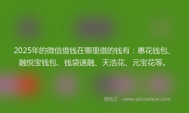 2025年的微信借钱在哪里借的钱有：惠花钱包、融悦宝钱包、钱袋速融、天浩花、元宝花等。