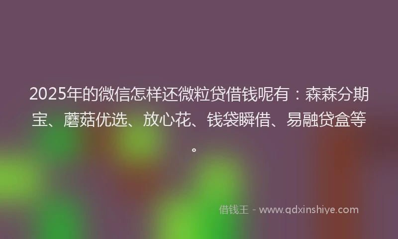 2025年的微信怎样还微粒贷借钱呢有：森森分期宝、蘑菇优选、放心花、钱袋瞬借、易融贷盒等。