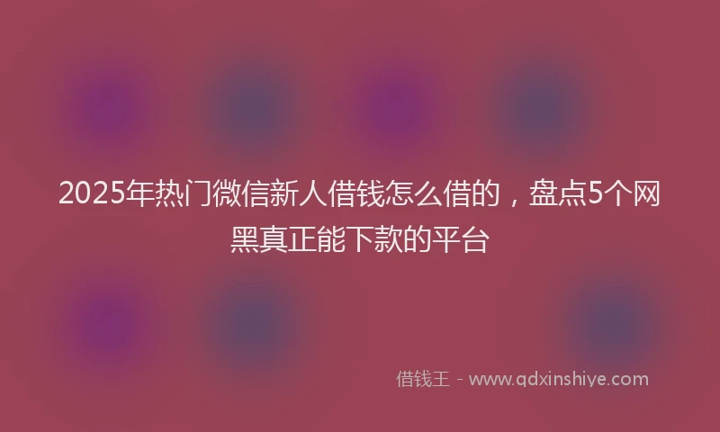 2025年热门微信新人借钱怎么借的，盘点5个网黑真正能下款的平台