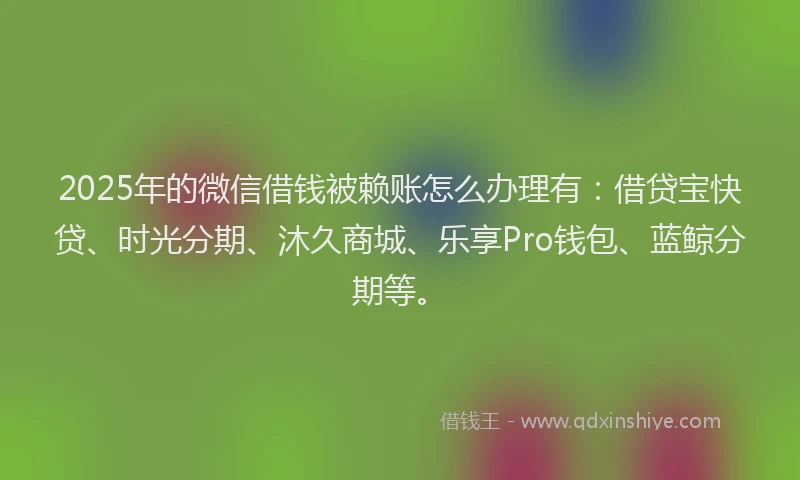2025年的微信借钱被赖账怎么办理有：借贷宝快贷、时光分期、沐久商城、乐享Pro钱包、蓝鲸分期等。