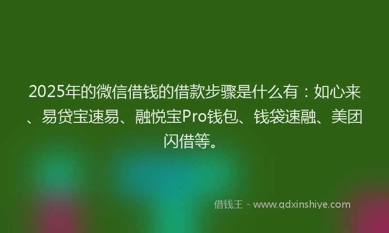 2025年的微信借钱的借款步骤是什么有：如心来、易贷宝速易、融悦宝Pro钱包、钱袋速融、美团闪借等。