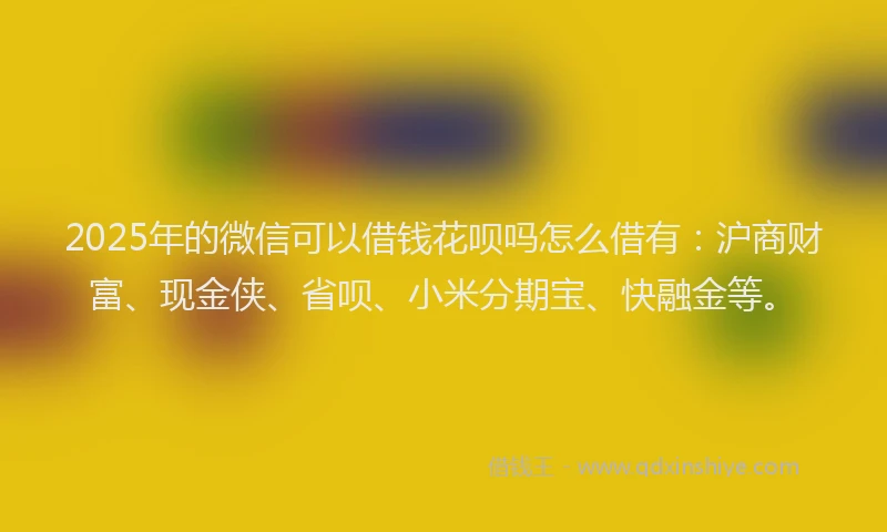 2025年的微信可以借钱花呗吗怎么借有：沪商财富、现金侠、省呗、小米分期宝、快融金等。