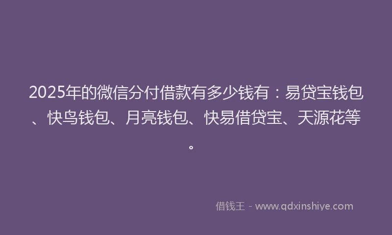 2025年的微信分付借款有多少钱有：易贷宝钱包、快鸟钱包、月亮钱包、快易借贷宝、天源花等。
