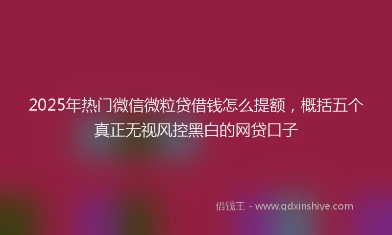2025年热门微信微粒贷借钱怎么提额，概括五个真正无视风控黑白的网贷口子