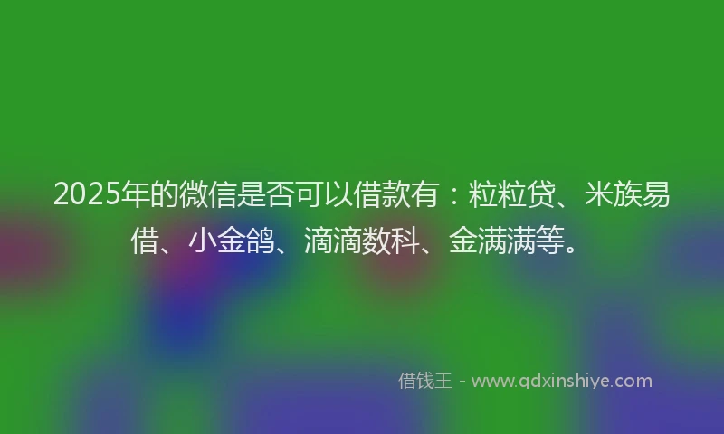 2025年的微信是否可以借款有：粒粒贷、米族易借、小金鸽、滴滴数科、金满满等。