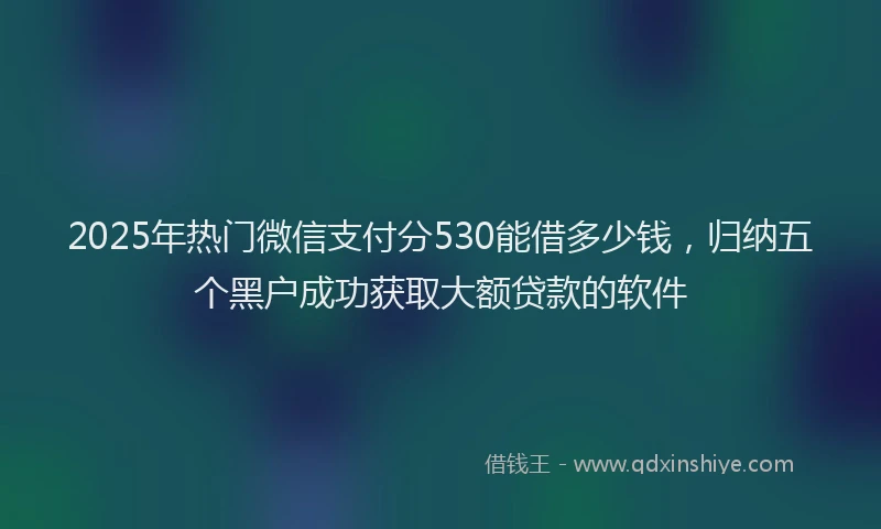 2025年热门微信支付分530能借多少钱，归纳五个黑户成功获取大额贷款的软件
