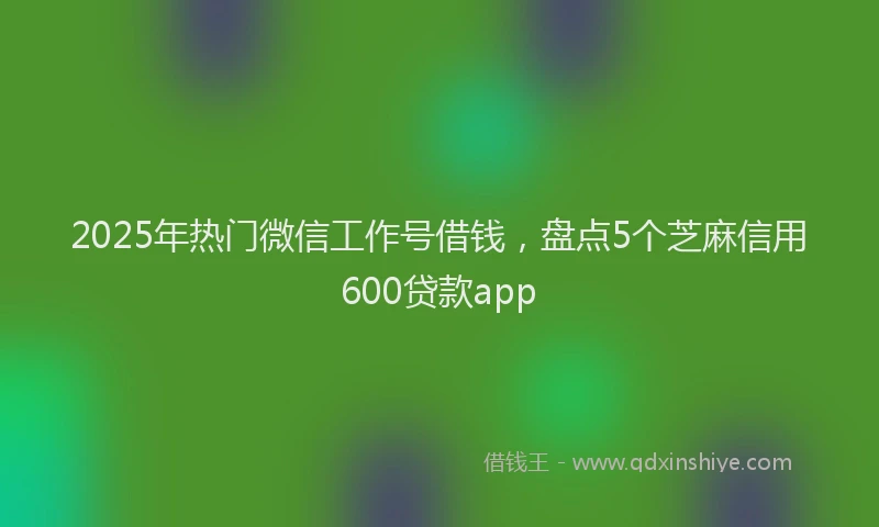 2025年热门微信工作号借钱，盘点5个芝麻信用600贷款app