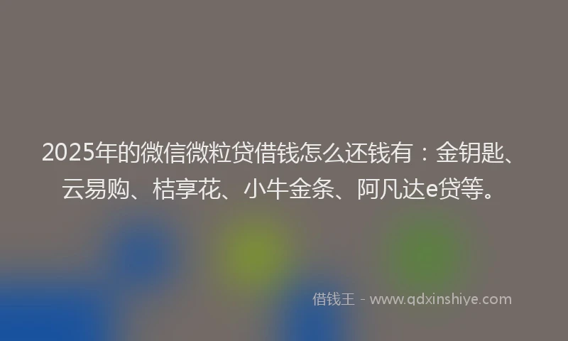 2025年的微信微粒贷借钱怎么还钱有：金钥匙、云易购、桔享花、小牛金条、阿凡达e贷等。