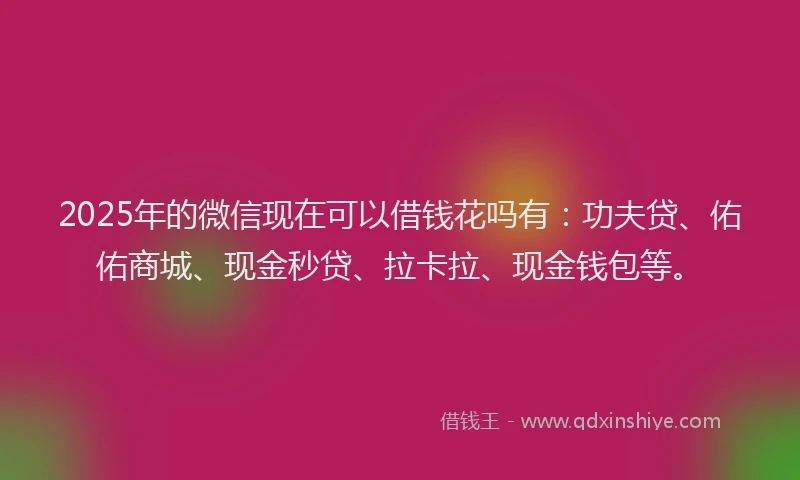 2025年的微信现在可以借钱花吗有：功夫贷、佑佑商城、现金秒贷、拉卡拉、现金钱包等。
