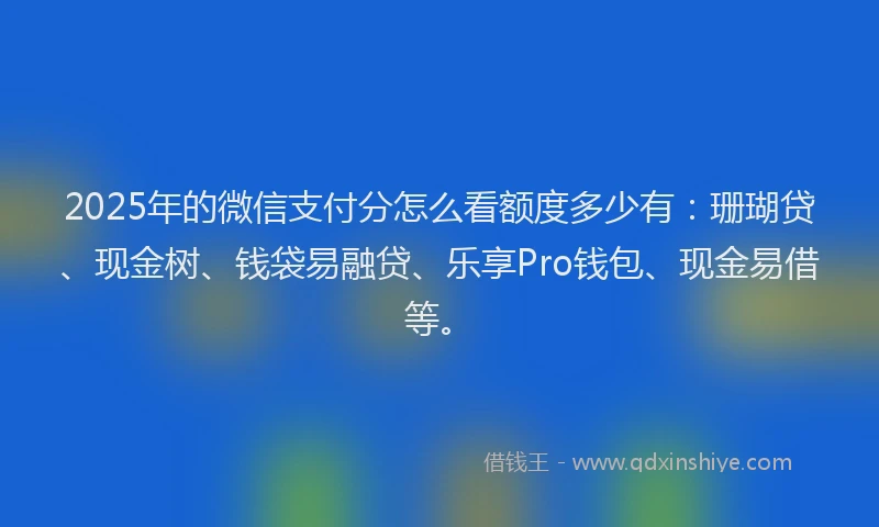 2025年的微信支付分怎么看额度多少有：珊瑚贷、现金树、钱袋易融贷、乐享Pro钱包、现金易借等。