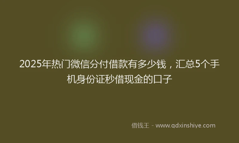 2025年热门微信分付借款有多少钱，汇总5个手机身份证秒借现金的口子