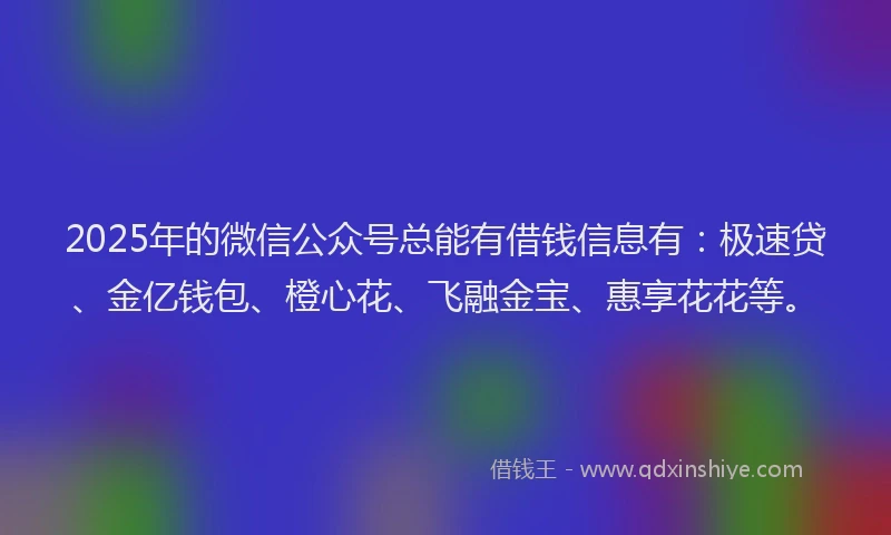 2025年的微信公众号总能有借钱信息有：极速贷、金亿钱包、橙心花、飞融金宝、惠享花花等。