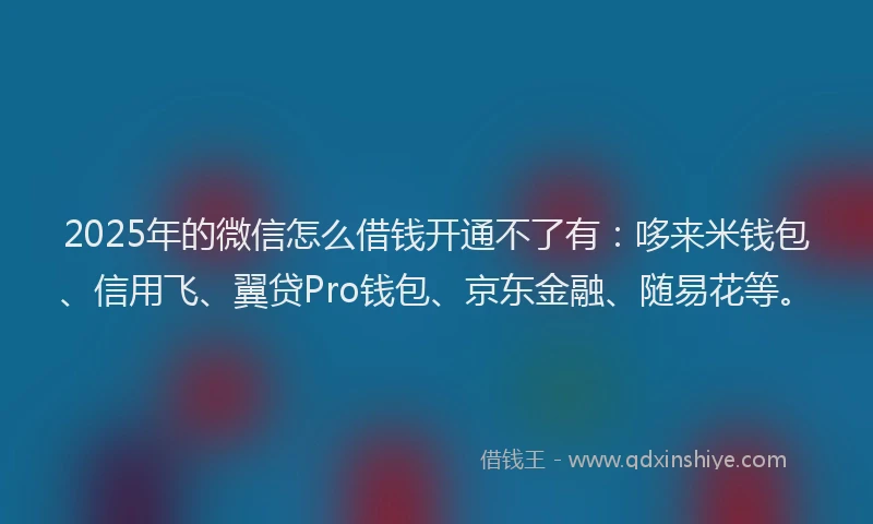 2025年的微信怎么借钱开通不了有：哆来米钱包、信用飞、翼贷Pro钱包、京东金融、随易花等。