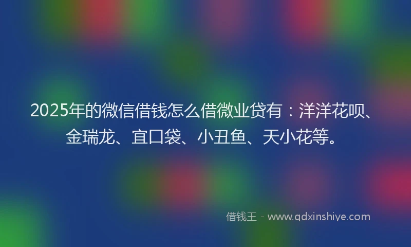 2025年的微信借钱怎么借微业贷有：洋洋花呗、金瑞龙、宜口袋、小丑鱼、天小花等。
