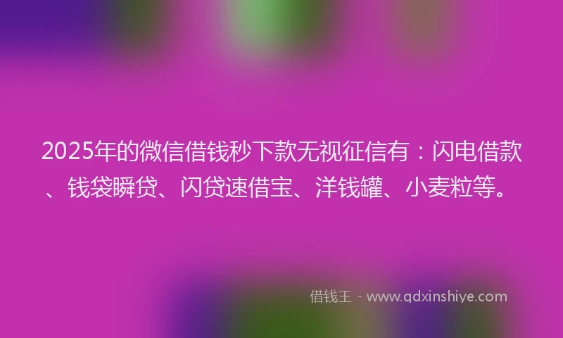 2025年的微信借钱秒下款无视征信有：闪电借款、钱袋瞬贷、闪贷速借宝、洋钱罐、小麦粒等。