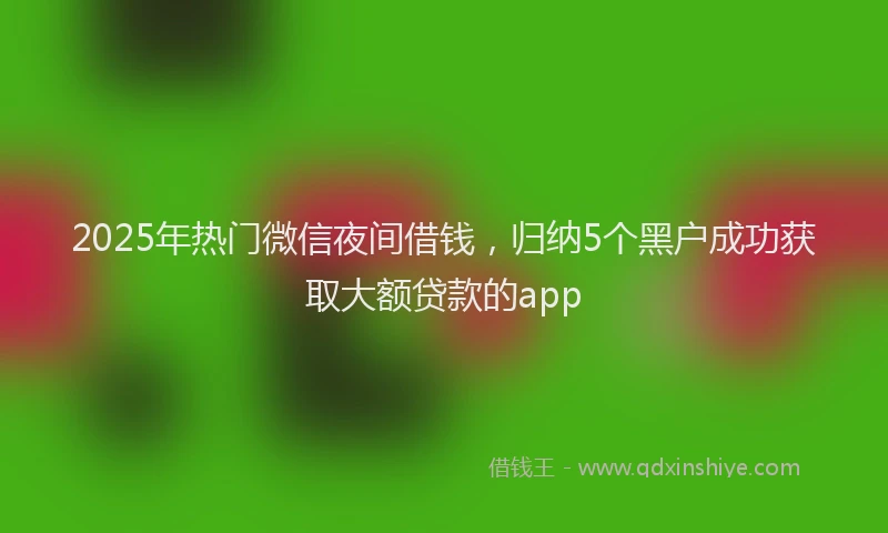 2025年热门微信夜间借钱，归纳5个黑户成功获取大额贷款的app