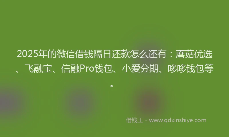 2025年的微信借钱隔日还款怎么还有：蘑菇优选、飞融宝、信融Pro钱包、小爱分期、哆哆钱包等。